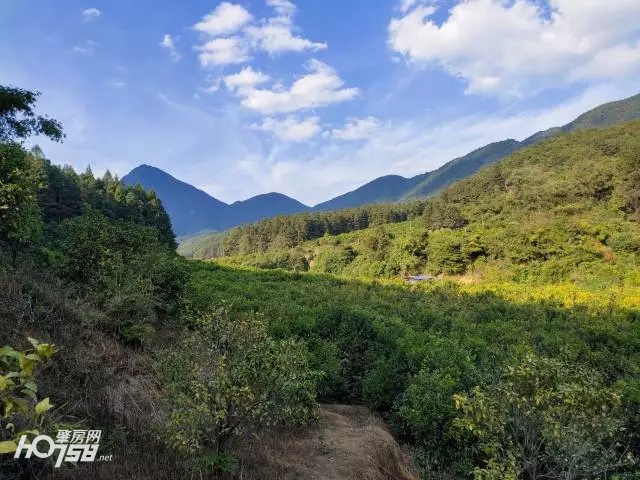 10公里长的水果种植长廊坐落在岳山脚下 罗建和 供图